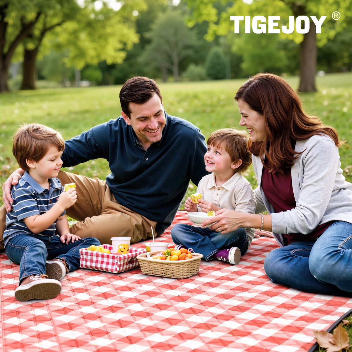 TigeJoy foldable blanket with Velcro strap for easy packing.
