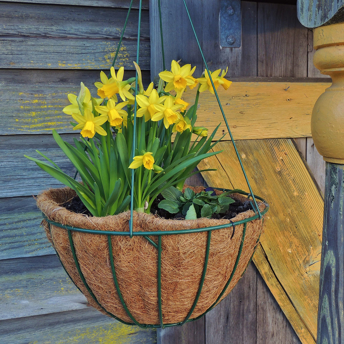 TigeJoy coco liner shows neutral pH supporting plant vitality in containers.
