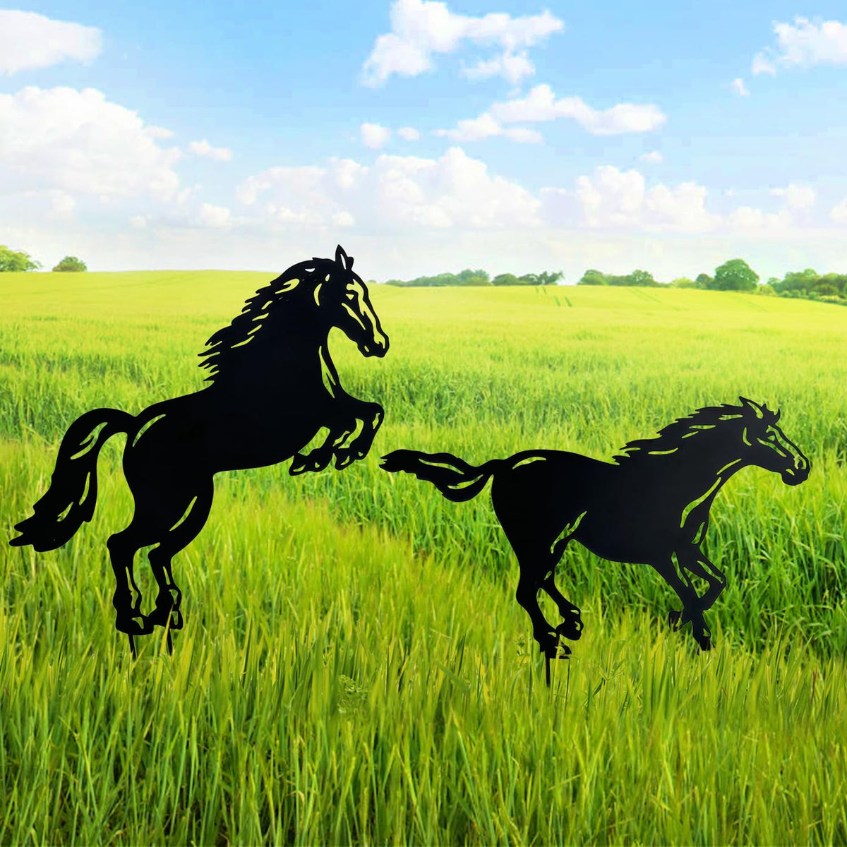TIGGSY gift-ready packaging suggests a thoughtful horse lover gift.