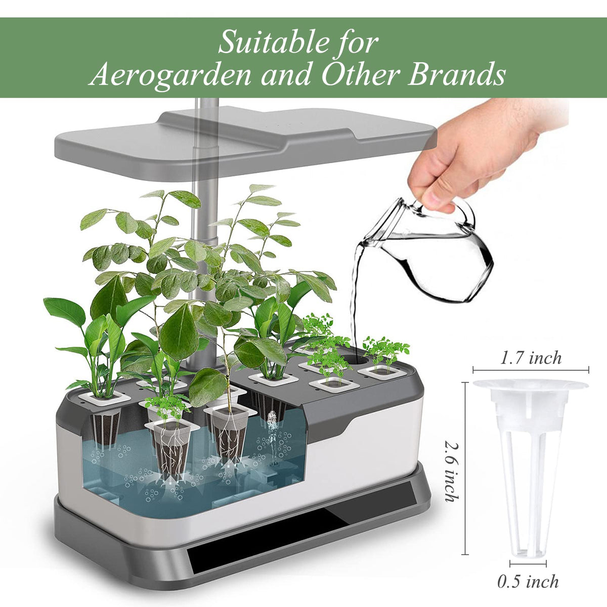 Tigvio baskets shown to support sturdy root growth with airflow.