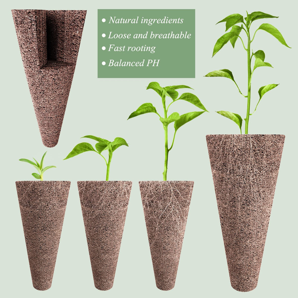 Tigvio domes displayed to maintain humidity around young plants.