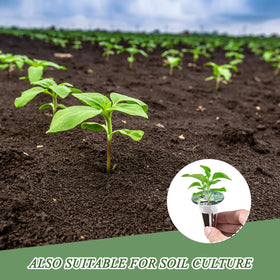 Tigvio nutrients and tweezer enabling precise feeding and transplanting.