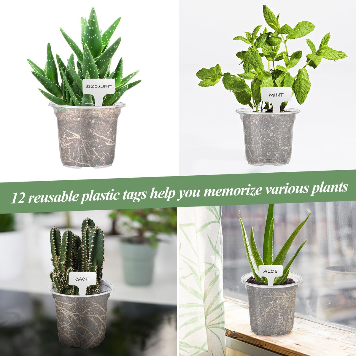 AeroGarden-compatible sponges ensure easy integration with your system