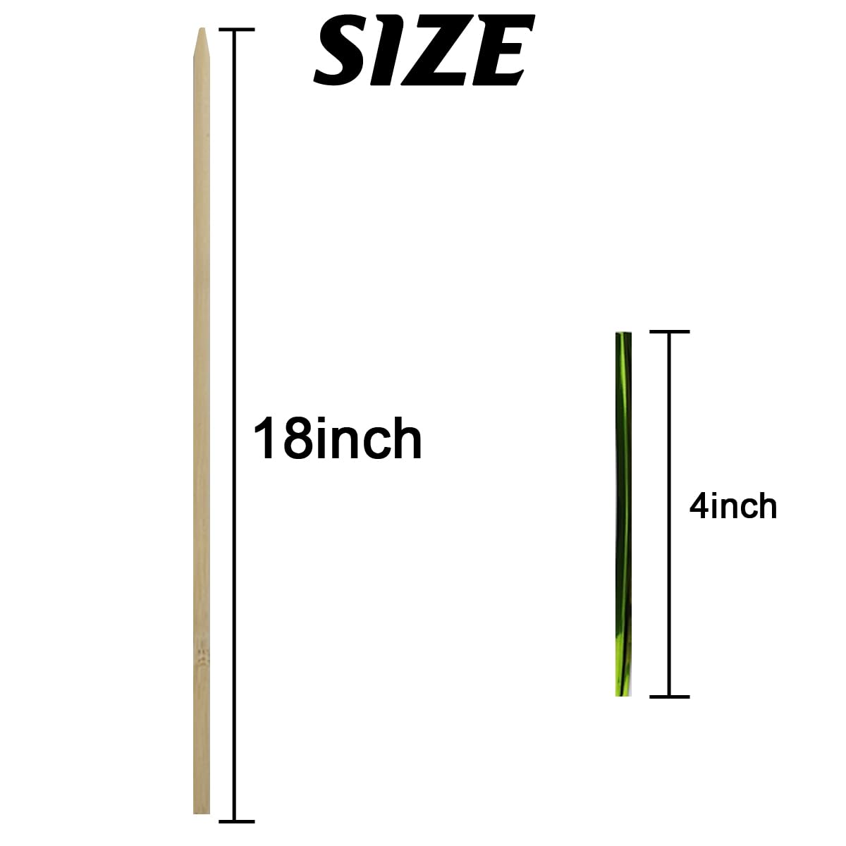 TIHOOD bamboo stake with a pointed end for easy soil insertion.