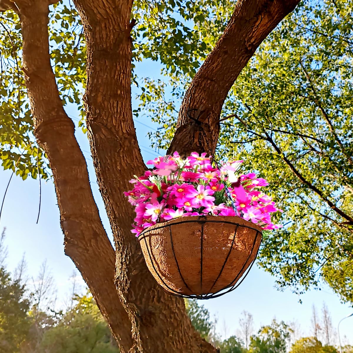 TIHOOD iron frame with rustic finish supporting vibrant plants.