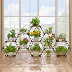 Tikea hexagonal plant stand 11-tier in living room displaying organized greenery.