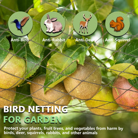 Tilvex garden netting half-inch mesh guards vegetables and berries while preserving airflow.