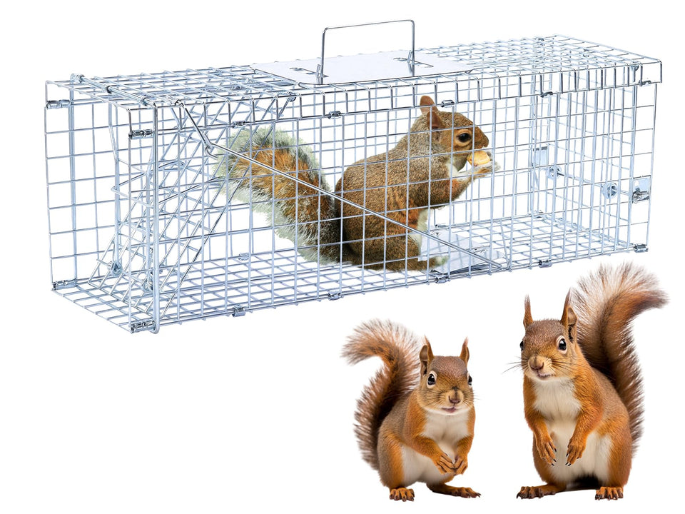Timaze 24-inch live animal trap in setup position for humane capture.
