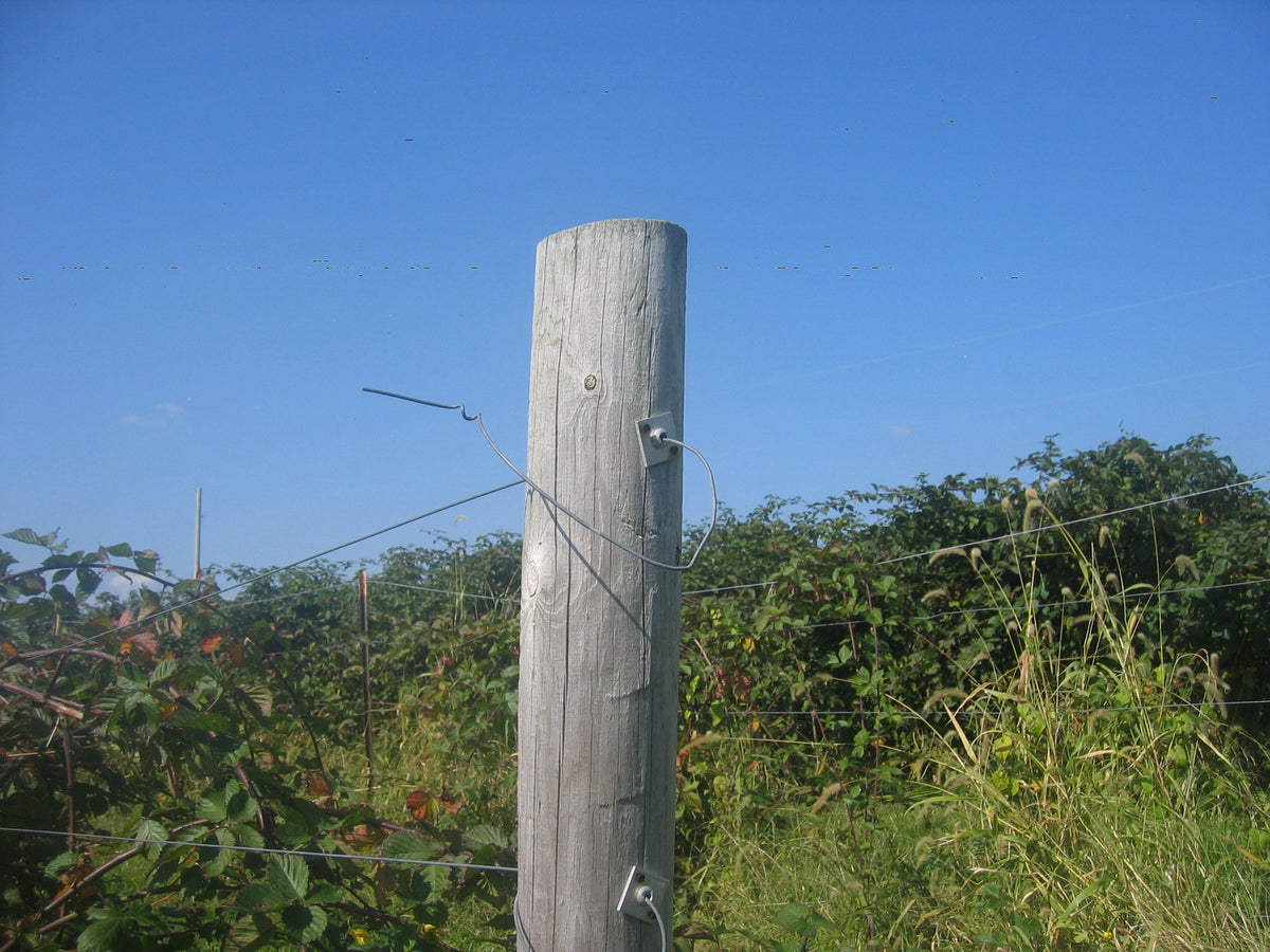 TIMCO 12.5 gauge ten pack ideal for fencing and trellis projects.