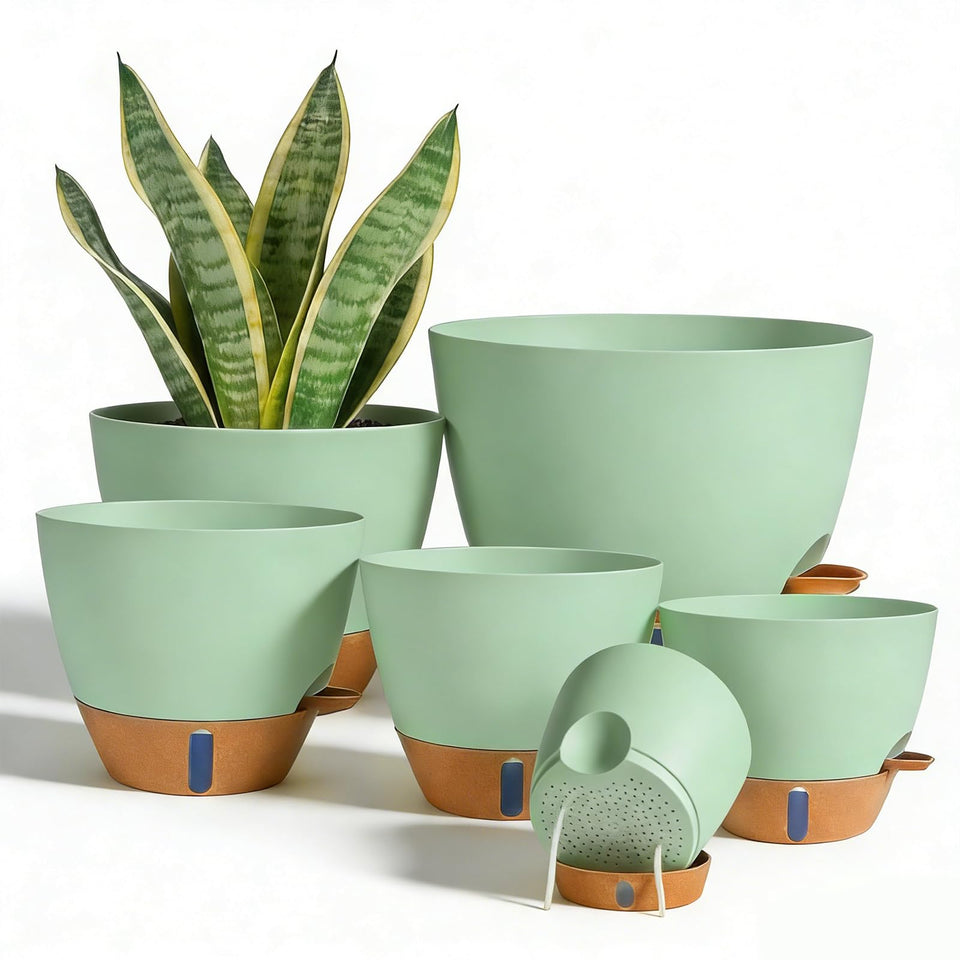 Tinecio self-watering pot with 7-inch water level window for moisture checks.