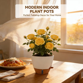 Tinecio pot with multi-mesh drainage holes improves root air flow.