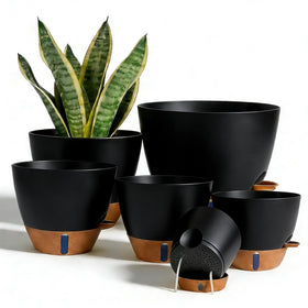 Tinecio self-watering pot with water level window for easy moisture checks.