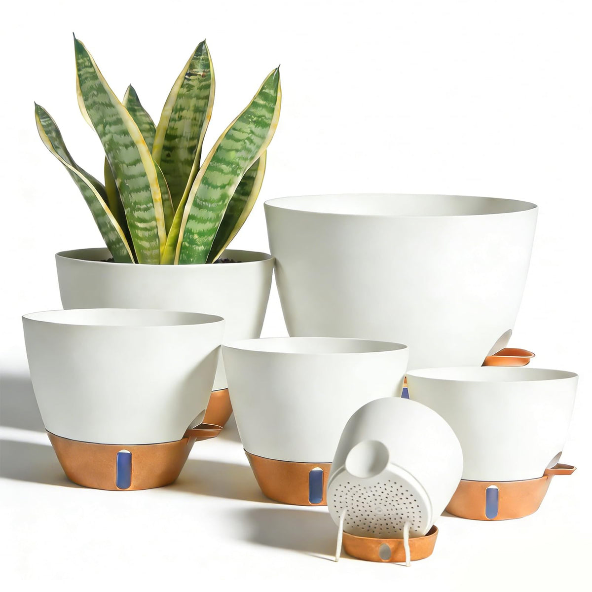 Tinecio self-watering pot water window shows moisture levels for steady hydration.