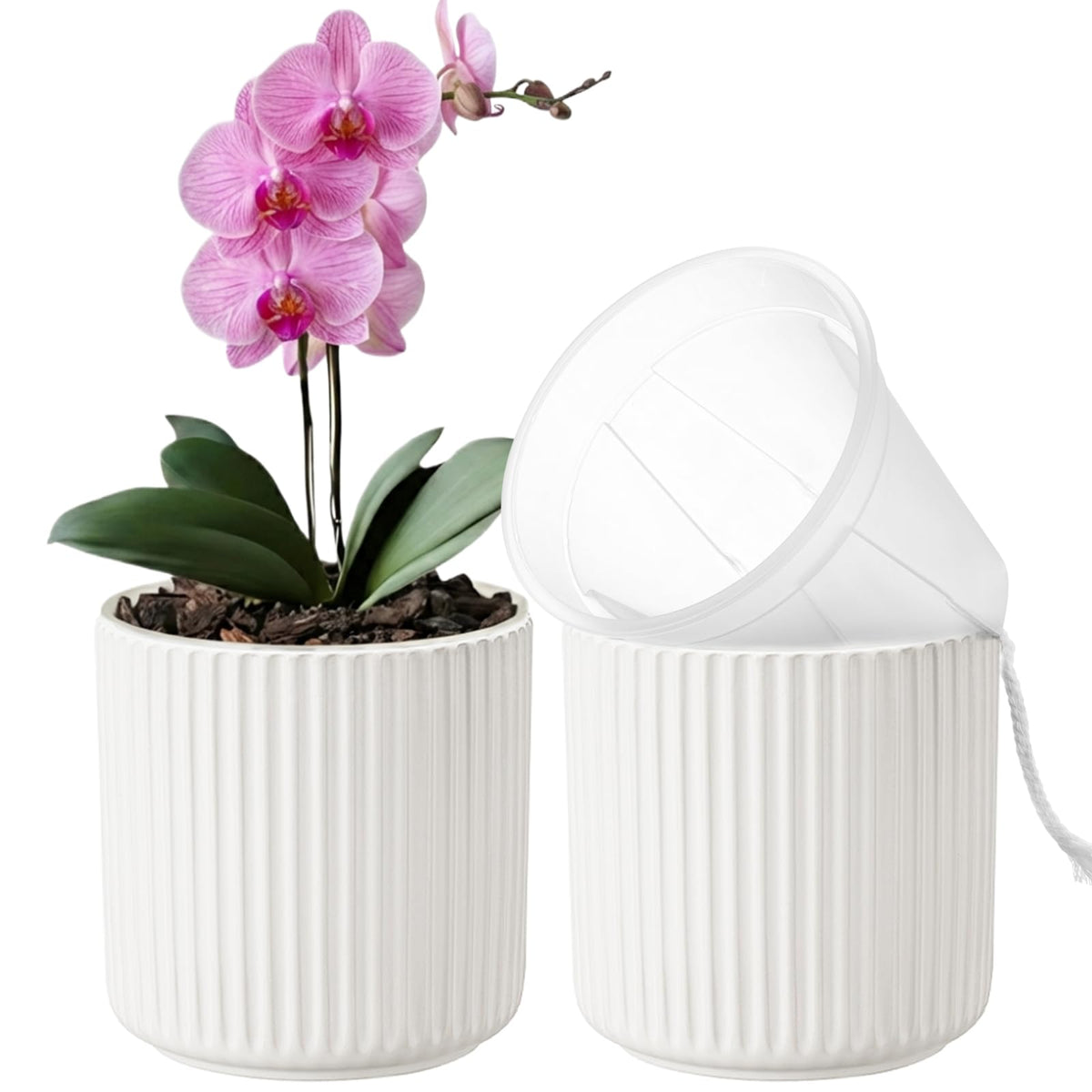 TineDew ceramic cachepot outer in white enhances decor and prevents spills.