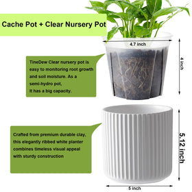 TineDew clear inner nursery pot shows root growth for easy monitoring.
