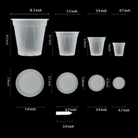 TineDew clear 7-inch nursery pot showing drainage and root visibility.