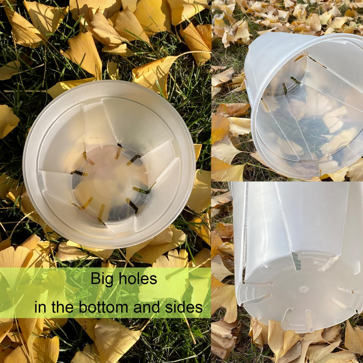 TineDew clear 8-inch nursery pot with saucer for larger plants.