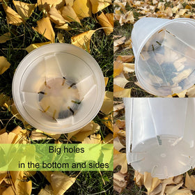 TineDew clear 8-inch nursery pot with saucer for larger plants.