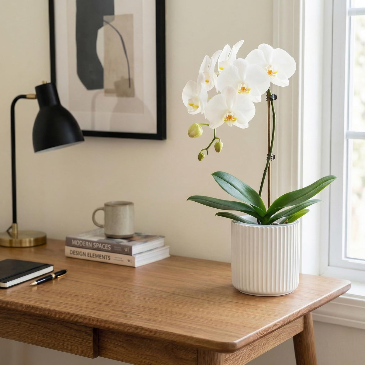 TineDew ideal for orchids, African violets, herbs and small plants.