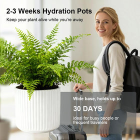 TineDew reservoir provides hydration for 2-3 weeks for busy plant lovers.