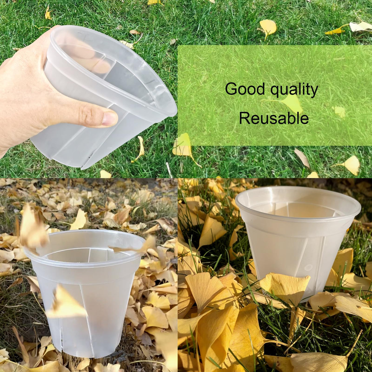 TineDew transparent pot highlighting easy moisture monitoring for beginners.