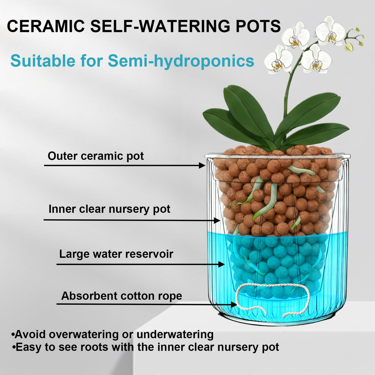 TineDew wick system close-up demonstrates self-watering moisture accuracy.