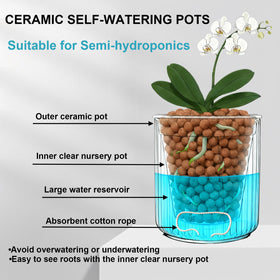 TineDew wick system close-up demonstrates self-watering moisture accuracy.