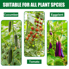 Tingyuan 25-pack garden stakes ready for planting projects