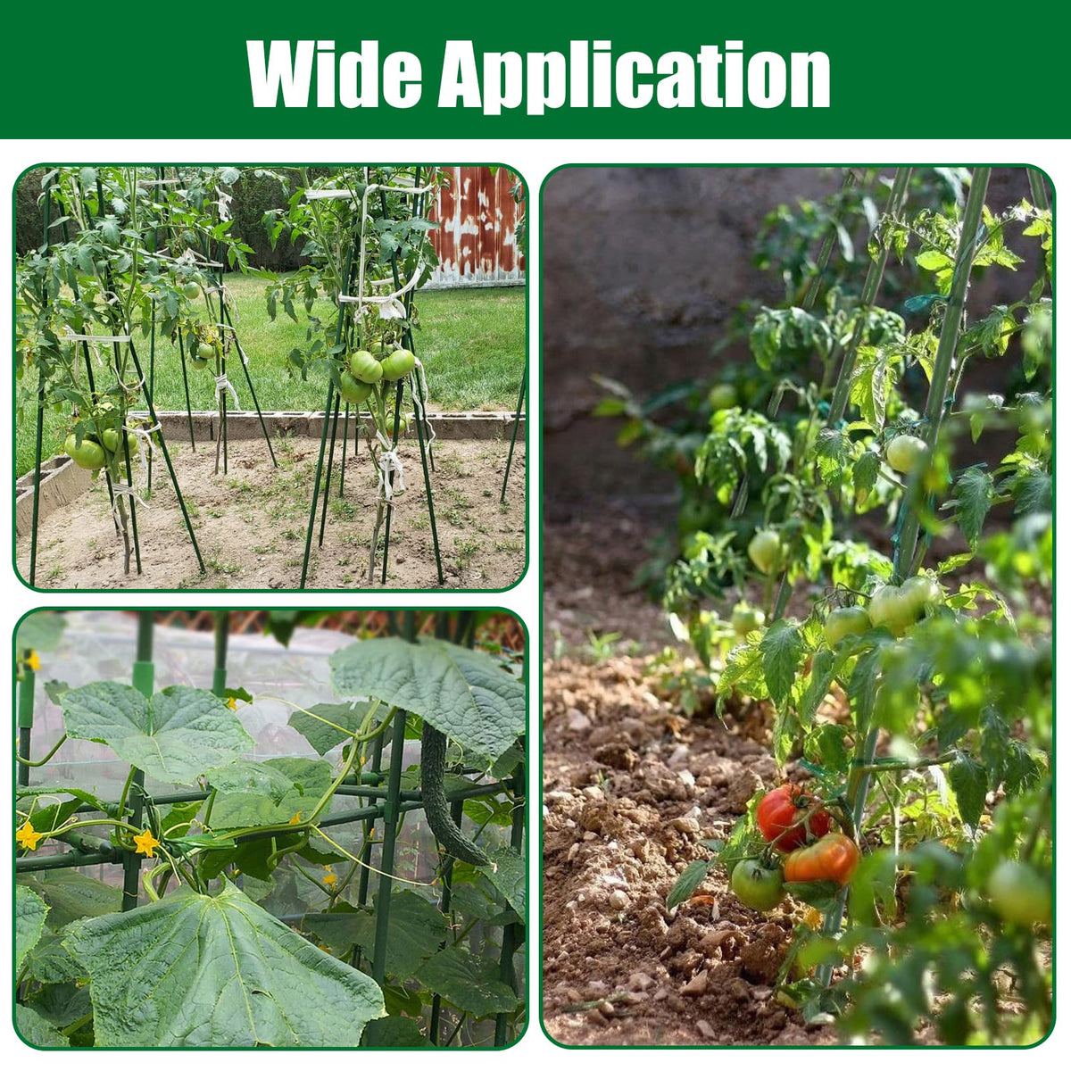 Tingyuan green-coated steel stakes blend with foliage for neat garden looks