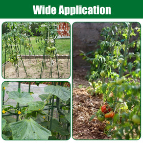 Tingyuan green-coated steel stakes blend with foliage for neat garden looks
