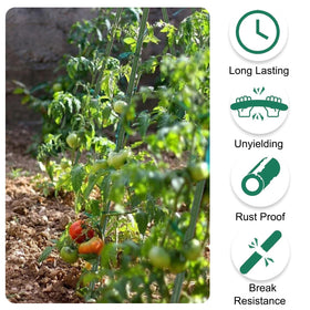 Tingyuan rustproof green-coated stake blends with foliage while supporting climbers