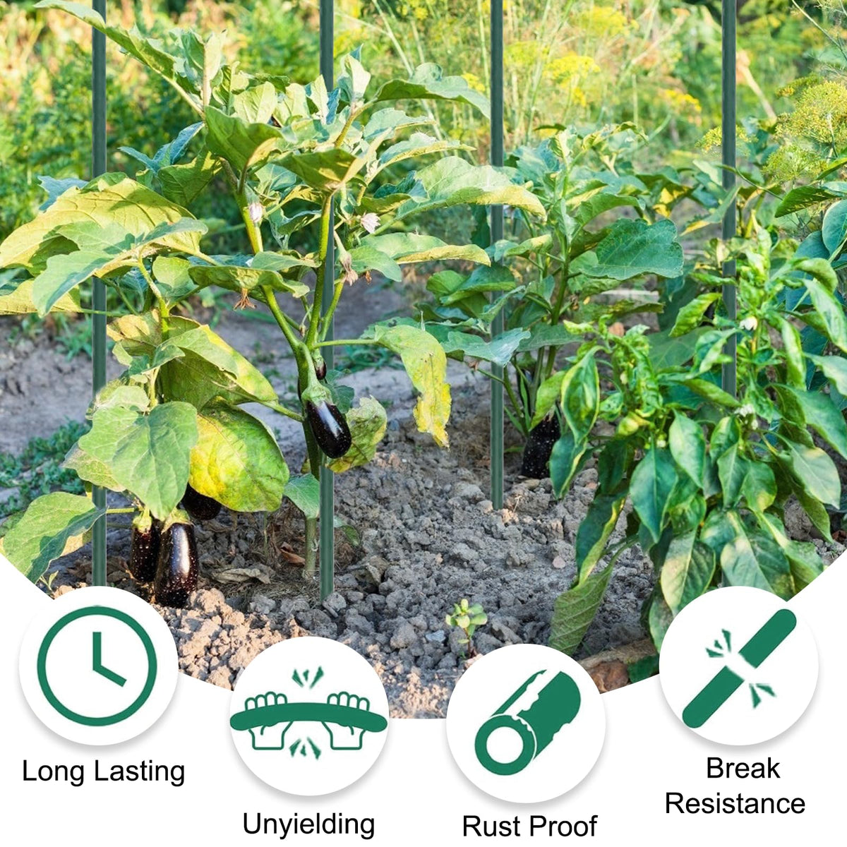 Tingyuan stakes with sharpened points ease soil insertion and placement