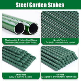 Tingyuan tomato stakes pack of 25 keeps vines upright.