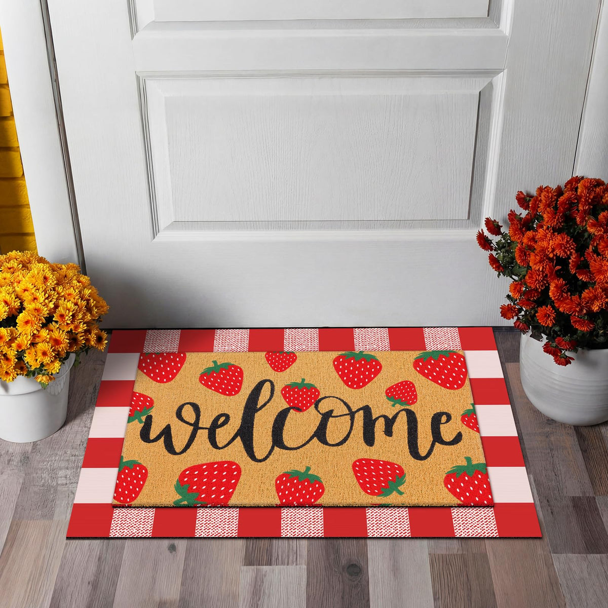 Tinideya entrance decor rug suits indoor and outdoor doors
