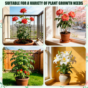 Tinrbip outdoor plant cages help keep stems upright during heavy rain.