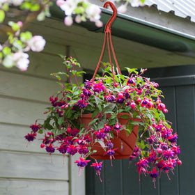 Tioncy coffee hanging planter suitable for indoor and outdoor use