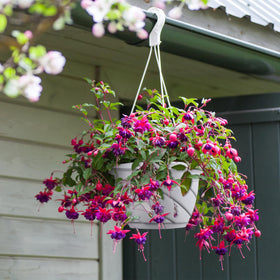 Tioncy detachable-chain-hooks ensure stable, secure hanging even in gusty conditions.