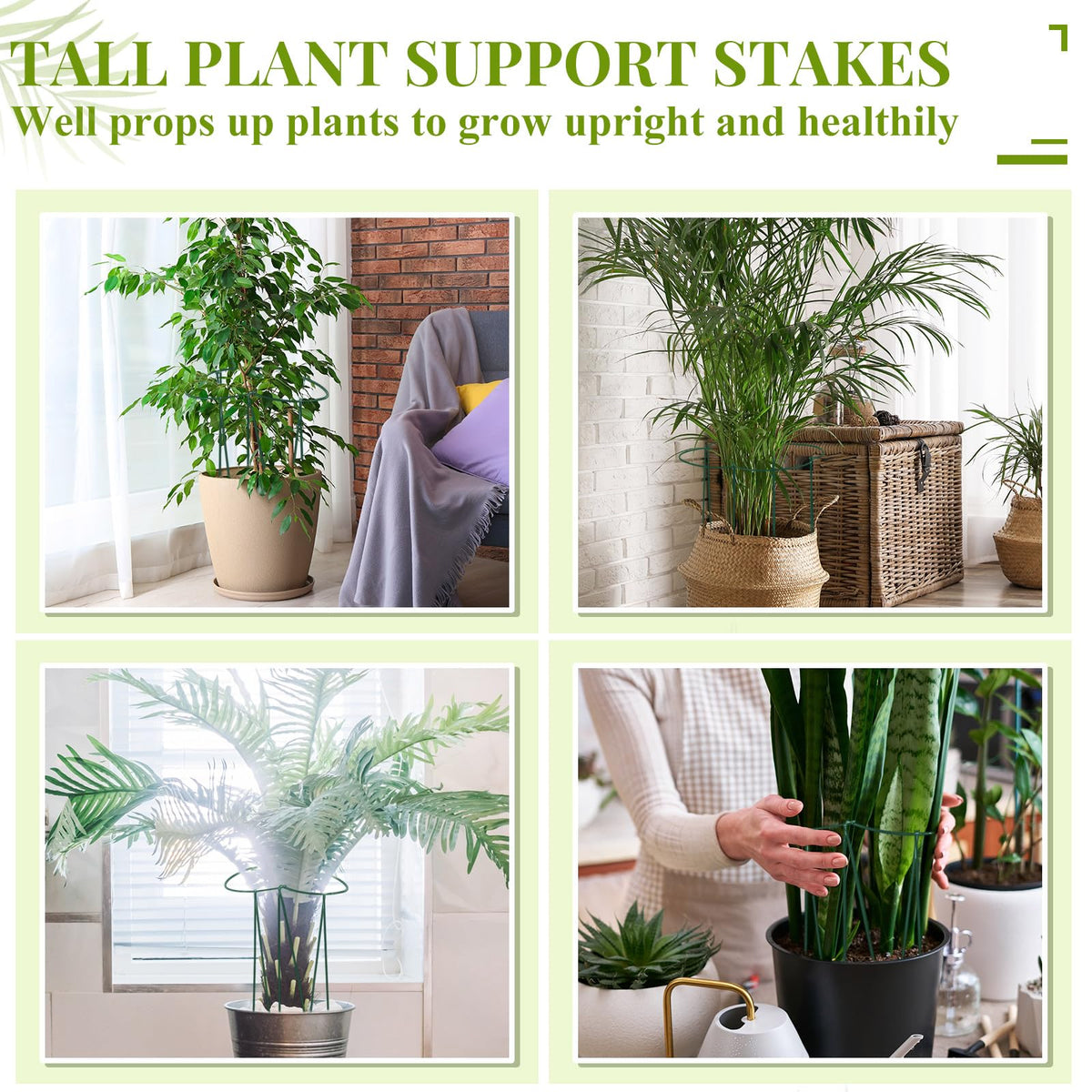 Tioncy indoor-outdoor plant supports shown in a tidy garden setup.