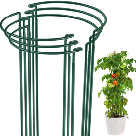 Tioncy six-pack plant stakes form a sturdy cage around a tomato plant for upright growth.
