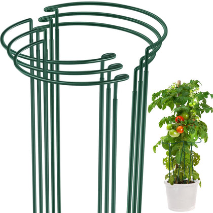 Tioncy six-pack plant stakes form a sturdy cage around a tomato plant for upright growth.
