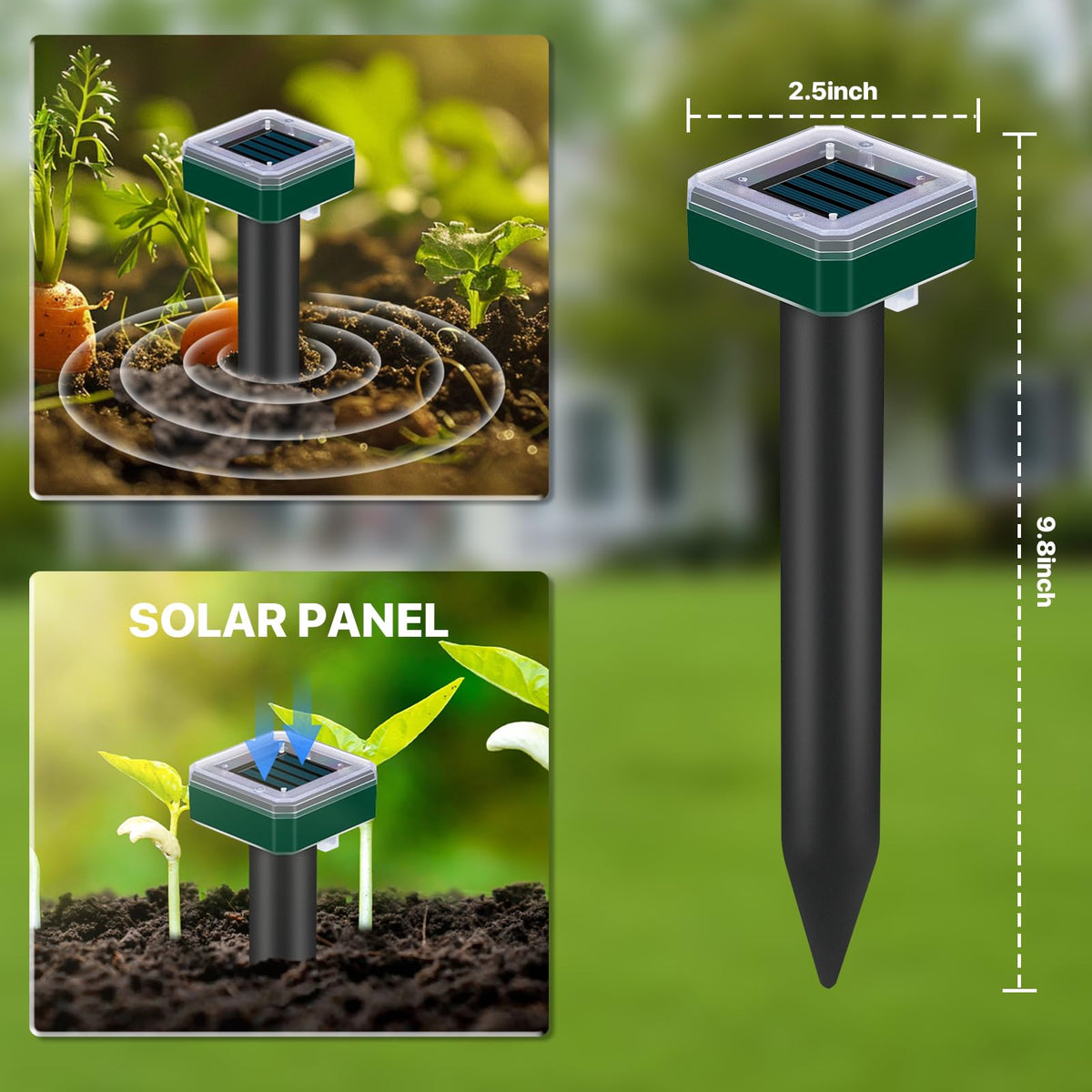 Tirgo chipmunk deterrent solar stake reducing burrowing activity