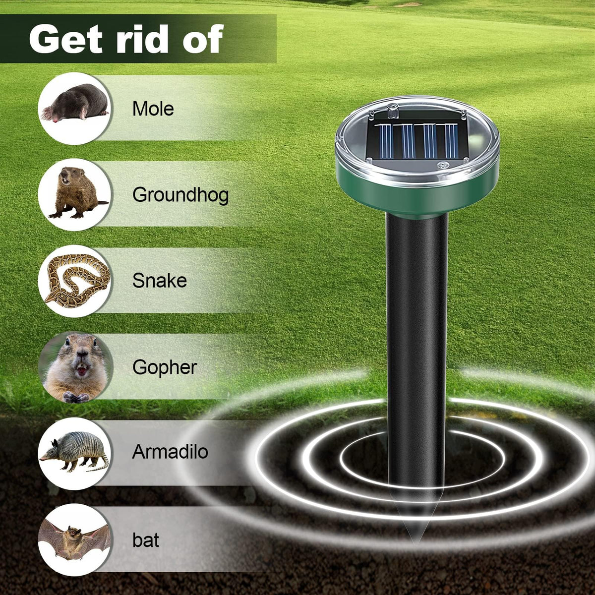 Tirgo solar-powered pest repeller in bright sun deters moles and gophers.