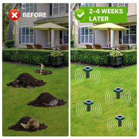 Tirgo vole deterrent solar stake shielding flower beds