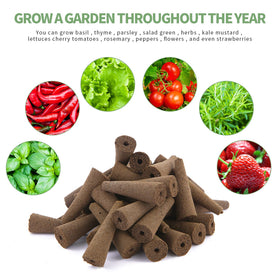 TISOHUGO soil-free indoor gardening with AeroGarden sponges for clean, low-mess cultivation.