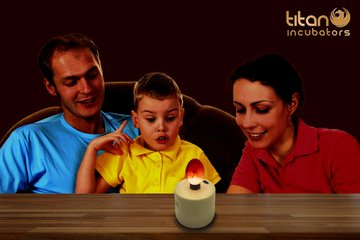 Titan Incubators candling supports multiple egg species with clear visibility.