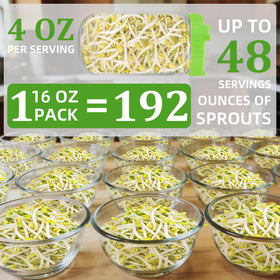 Soak-and-rinse setup with Titani-X seeds for easy home sprouting.