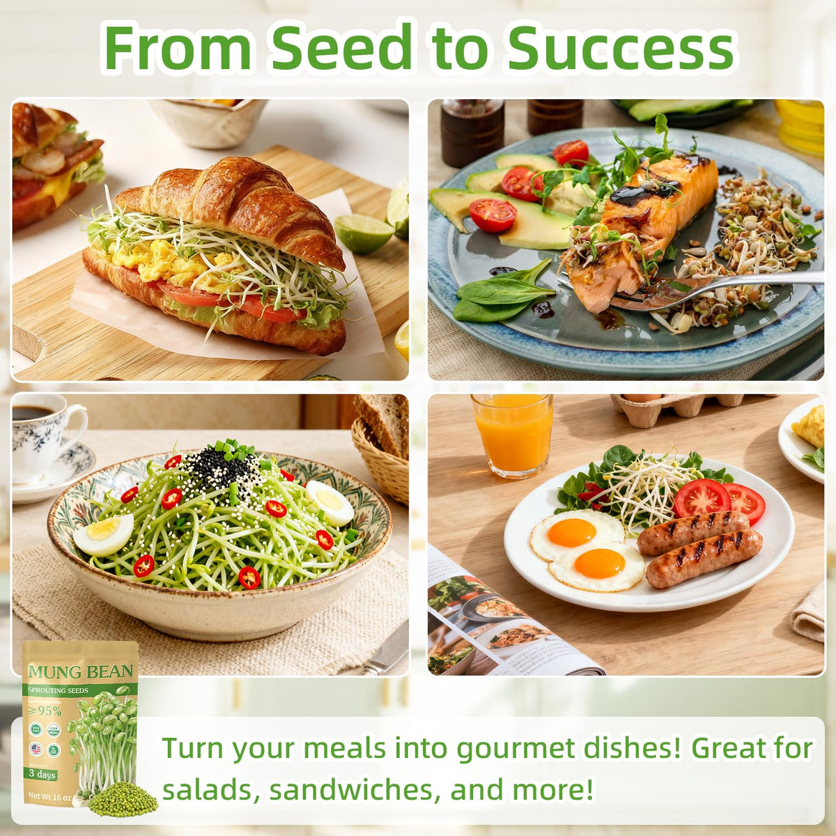 Titani-X sprouts on a colorful dish demonstrating versatile kitchen use.