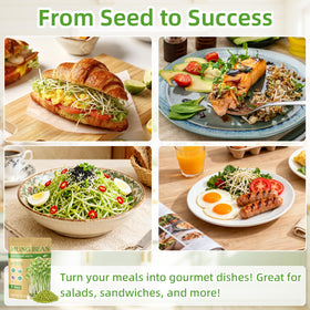 Titani-X sprouts on a colorful dish demonstrating versatile kitchen use.
