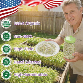 TitaniX alfalfa sprouts shown in a sprouting jar for quick harvest.