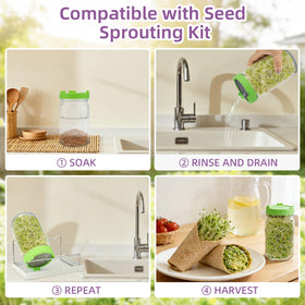 TitaniX fresh mild alfalfa sprouts perfect for sandwiches.